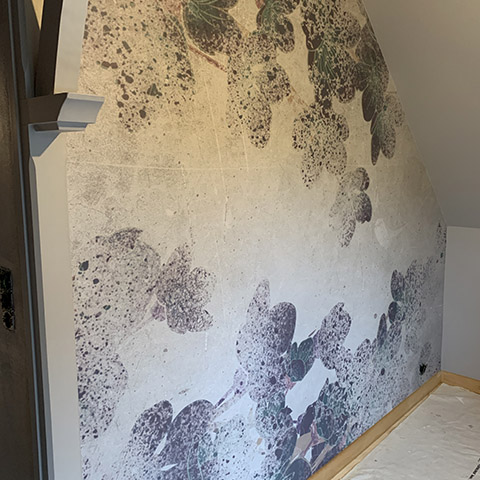 portfolio chambre